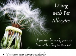 Můžete žít s alergikem a mazlíčkem
