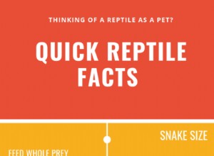 Краткие факты о рептилиях