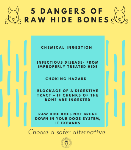 No More Raw Hide Chews for Dogs