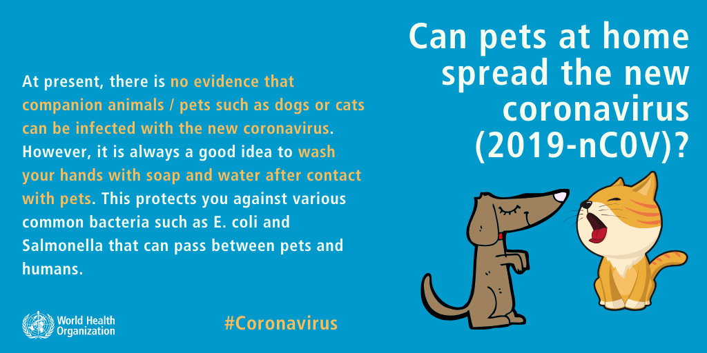 Conselho de Bem-Estar Animal da Índia – Circular sobre o Coronavírus
