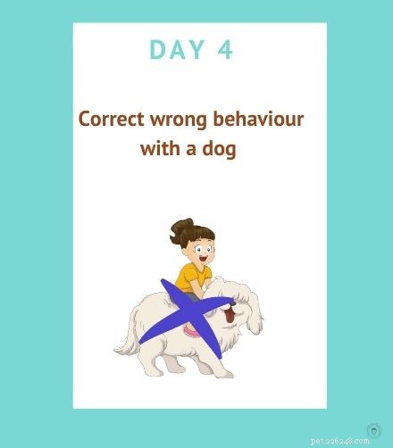 Dog University- 아이들에게 개에 대해 가르치는 방법