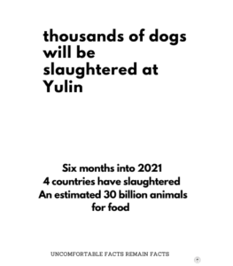 Varför är vi upprörda på Yulin Dog Meat Festival ?