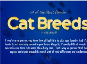 세계에서 가장 인기 있는 고양이 품종