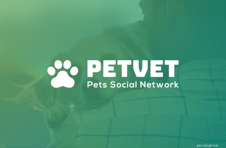 애완동물 애호가를 위한 5가지 최고의 소셜 플랫폼