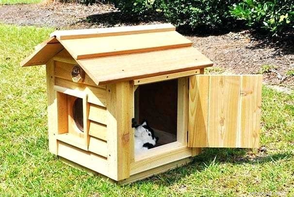 Hoe kunnen we een schuilplaats voor katten in de winter bouwen?