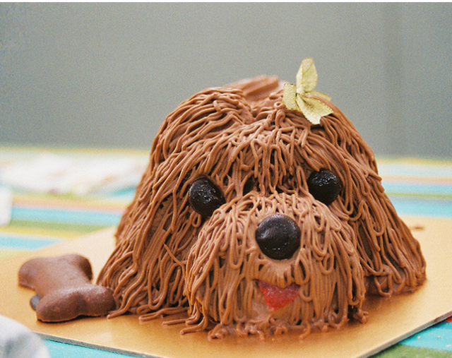 강아지 생일 파티를 축하하기 위한 아이디어
