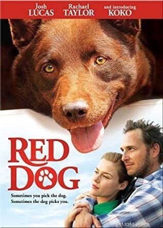 史上最高の犬の映画10本。 