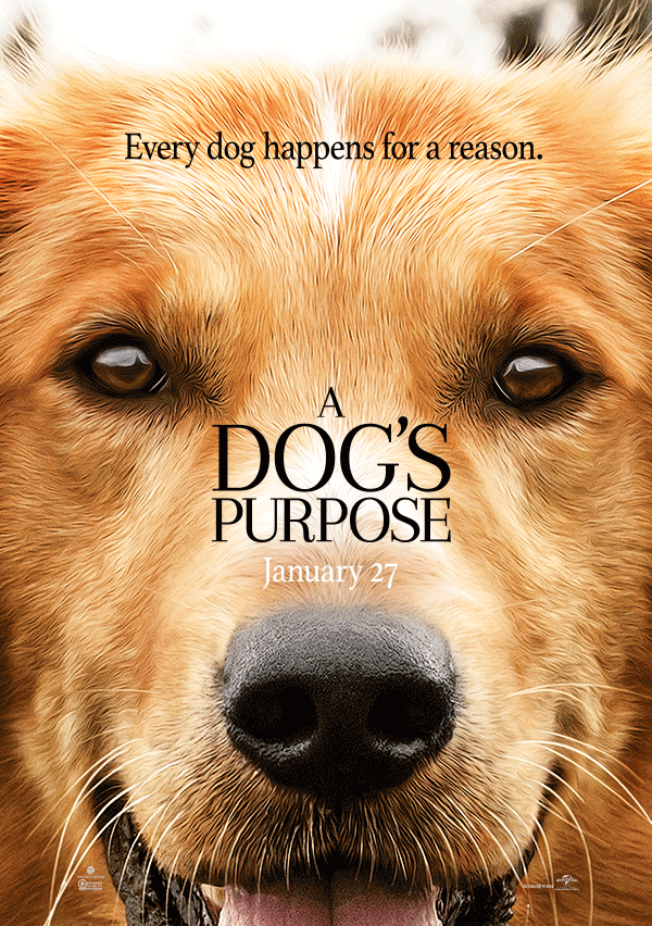 10 migliori film sui cani di tutti i tempi.