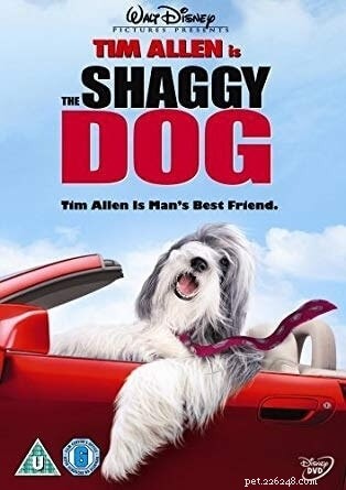 10 nejlepších filmů o psech všech dob.