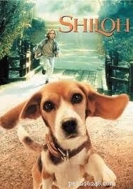 10 лучших фильмов о собаках всех времен.