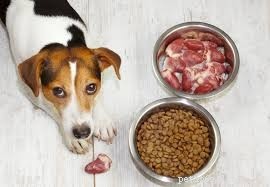 Zelfgemaakte hondenvoeropties - Duitse herder Husky-mix
