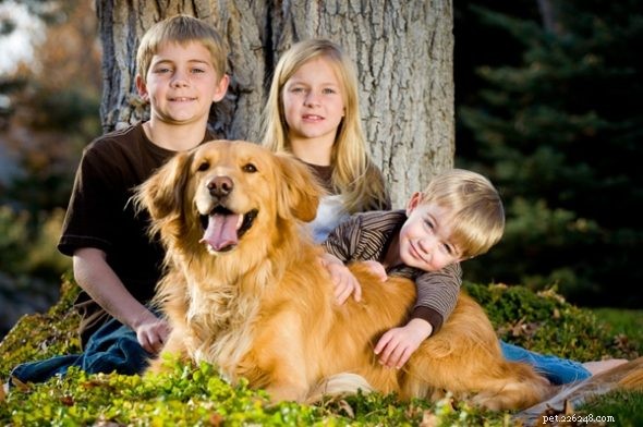 Qual ​​raça de cachorro é a preferida como animal de estimação da família?