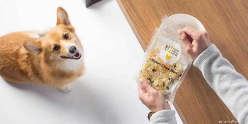 Top 5 des meilleurs aliments pour chiens de l année 2022