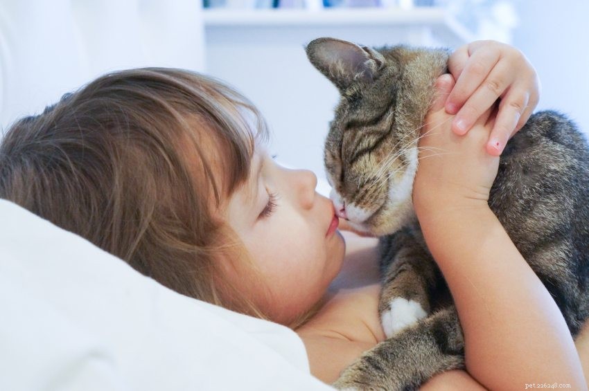Les 8 meilleures façons de savoir si votre chat vous aime