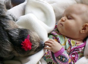 AW:Bebê de 5 meses e preguiça são melhores amigas