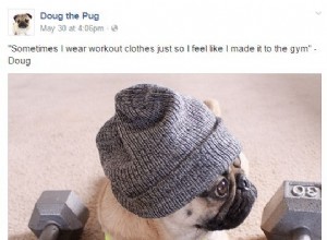 Doug, o Pug, é literalmente você