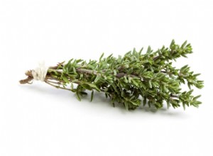 10 herbes pour améliorer la santé de votre chat