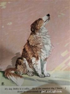 Bobbie The Collie：The Real Lassie Come-Home