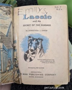 Lassie en het geheim van de zomer
