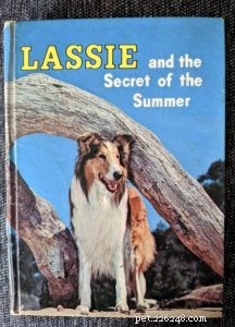 Lassie a tajemství léta