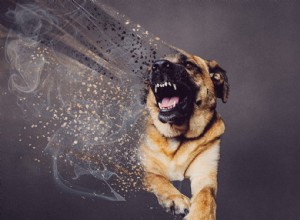 犬の唸り声、なぜ犬の唸り声？