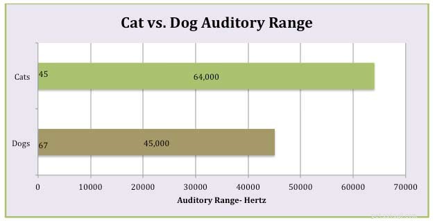 Une nouvelle étude indique que CES sons courants pourraient provoquer la saisie de votre chat