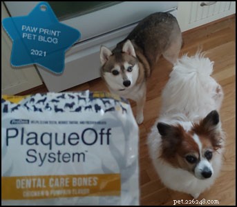 Välja rätt tandhälsoprodukter för din hund