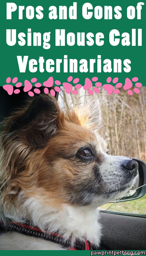Avantages et inconvénients de l utilisation de vétérinaires à domicile