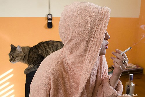 Rökning och din katt:hur cigarettrök påverkar ditt kattdjur