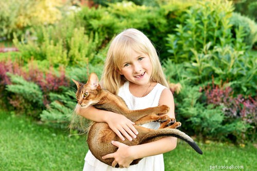 10 beste kattenrassen voor kinderen