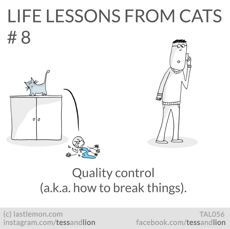 21 veselých, roztomilých a bystrých životních lekcí od koček