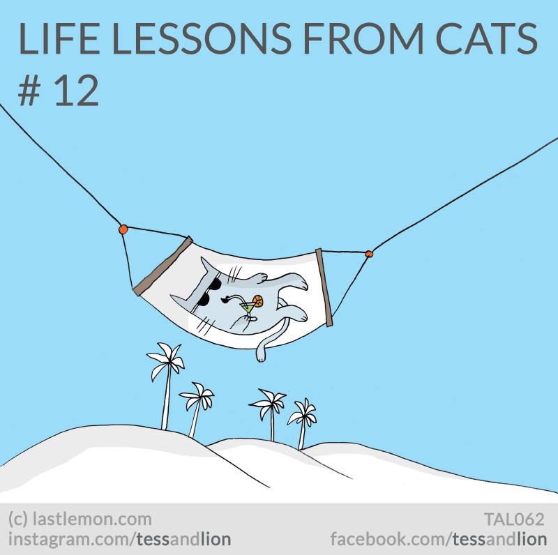 21 roliga, söta och insiktsfulla livslektioner från katter