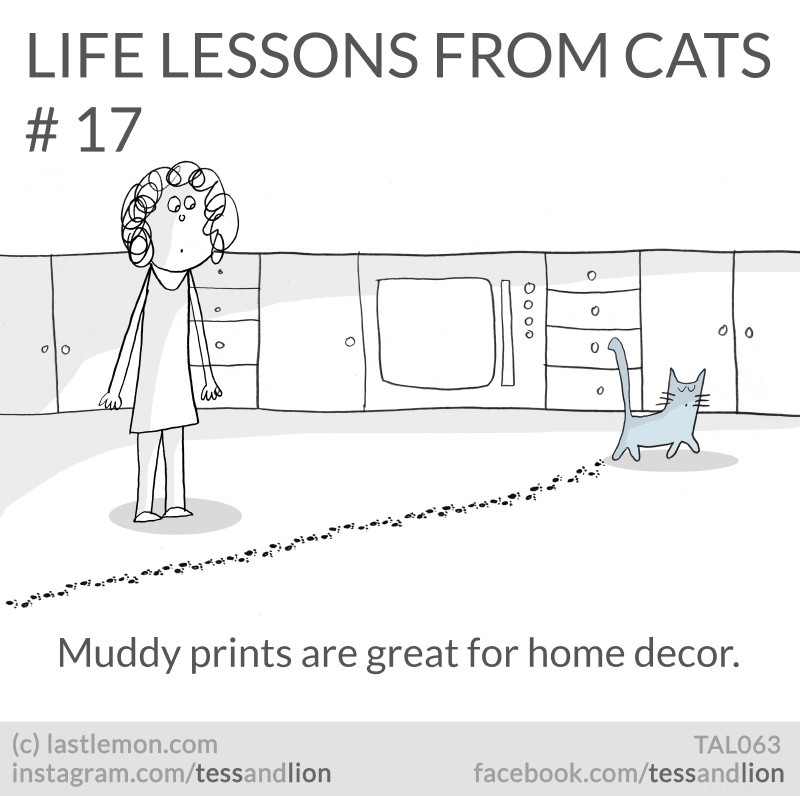 21 roliga, söta och insiktsfulla livslektioner från katter