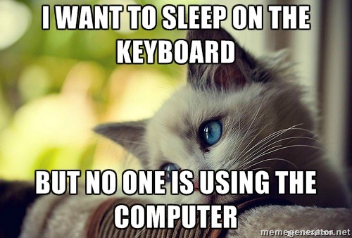 수의사에게 물어보세요:입력할 때 고양이가 키보드 위에 눕는 이유는 무엇입니까?