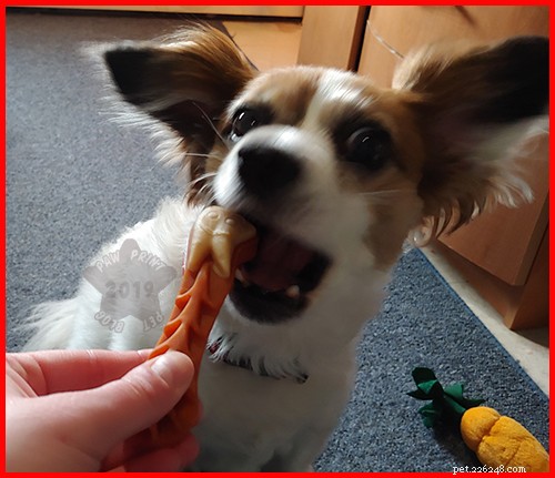 Firar National Pet Dental Health Month With Whimzees – #ChewyInfluencer