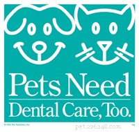 Celebriamo il mese nazionale della salute dentale degli animali domestici con Whimzees – #ChewyInfluencer