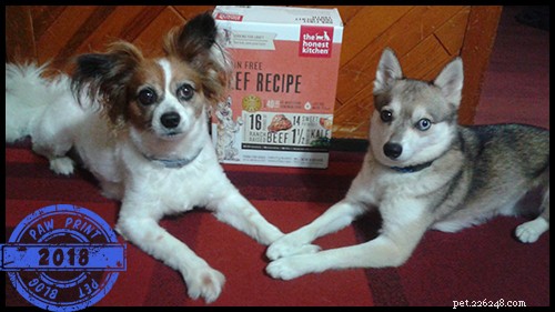 Waarom ik mijn honden eerlijk keukenvoedsel geef – #ChewyInfluencer