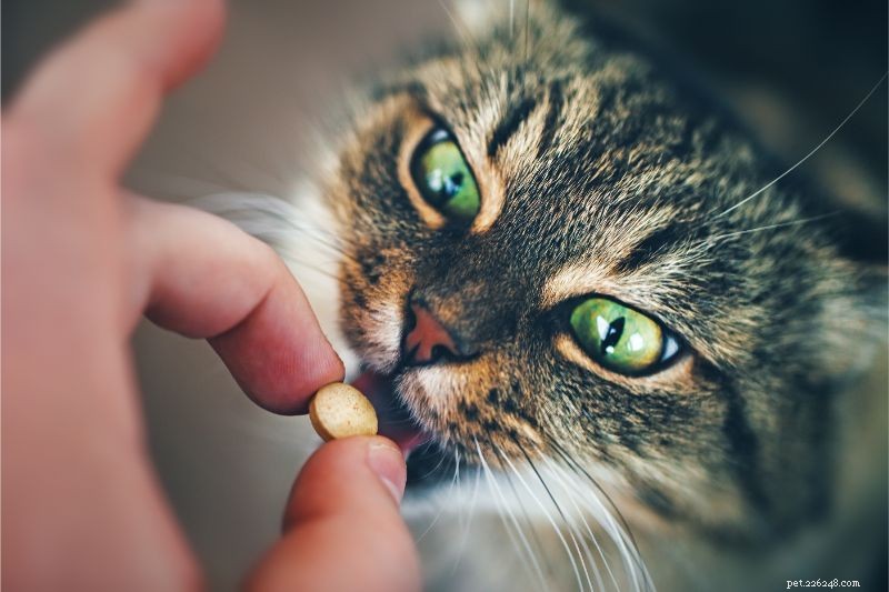 Svårt piller att svälja? Inte med specialdesignade tablettfickor för husdjur!