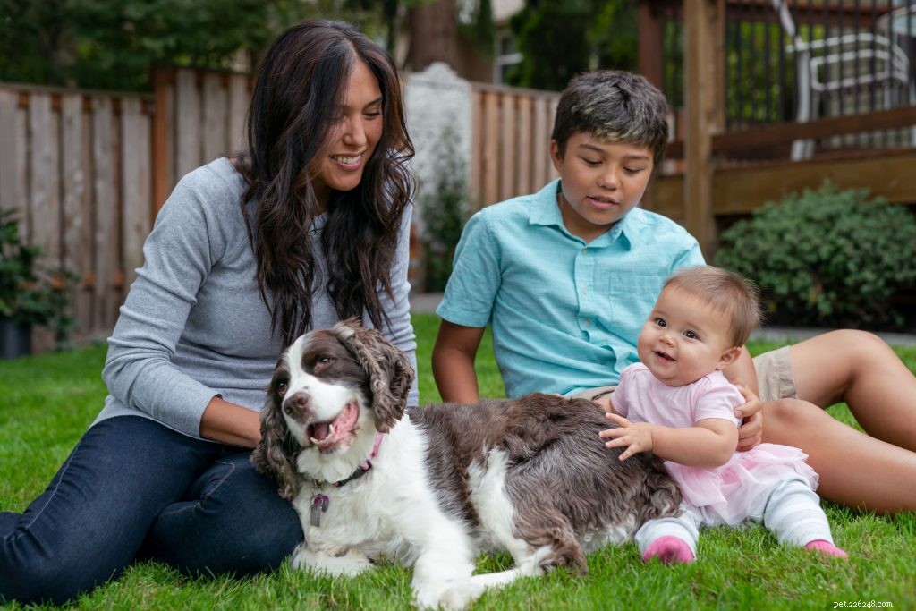 Měsíc pro adopci psa:Výhody psího rodičovství