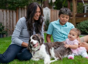 Mês da adoção de um cachorro:benefícios da paternidade de cães