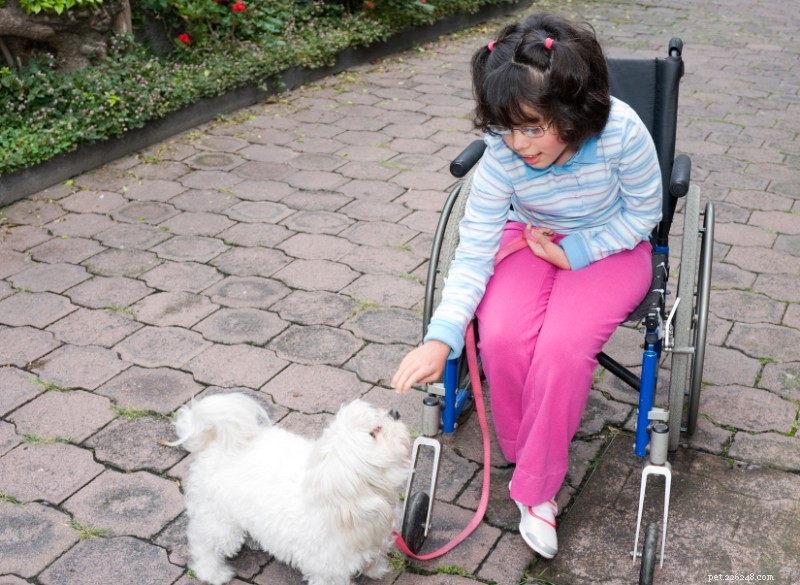 Speciale behoeften, speciale vrienden:hoe huisdieren kinderen met een handicap helpen﻿