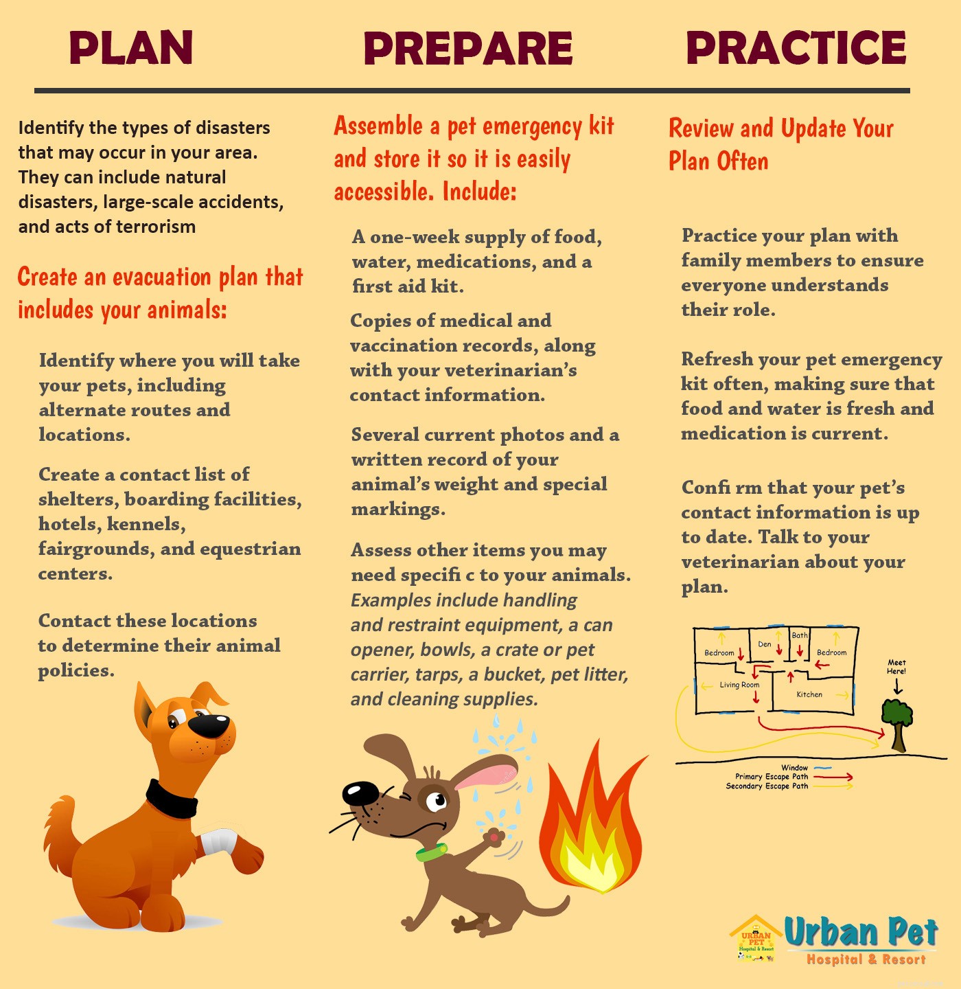 15 juli is de Pet Fire Safety Day