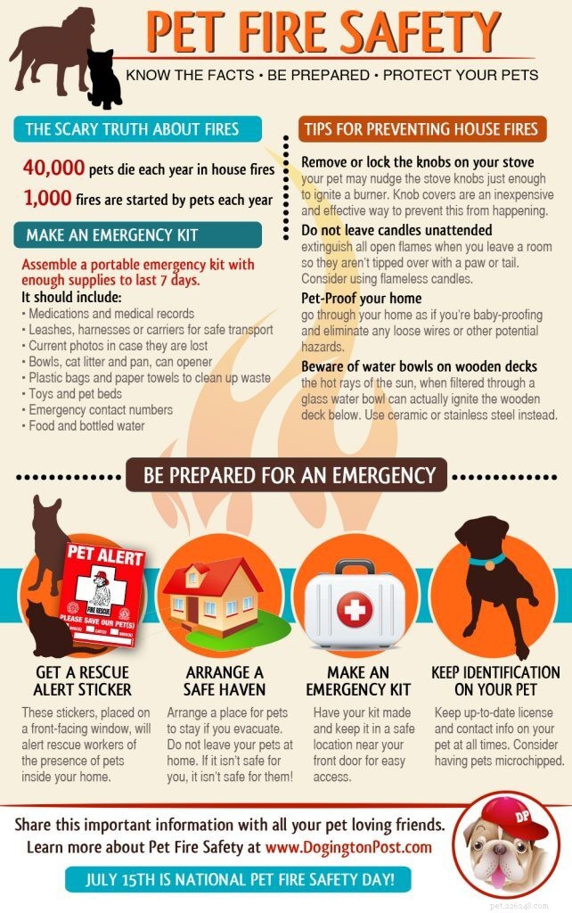 15. července je Den požární bezpečnosti domácích mazlíčků