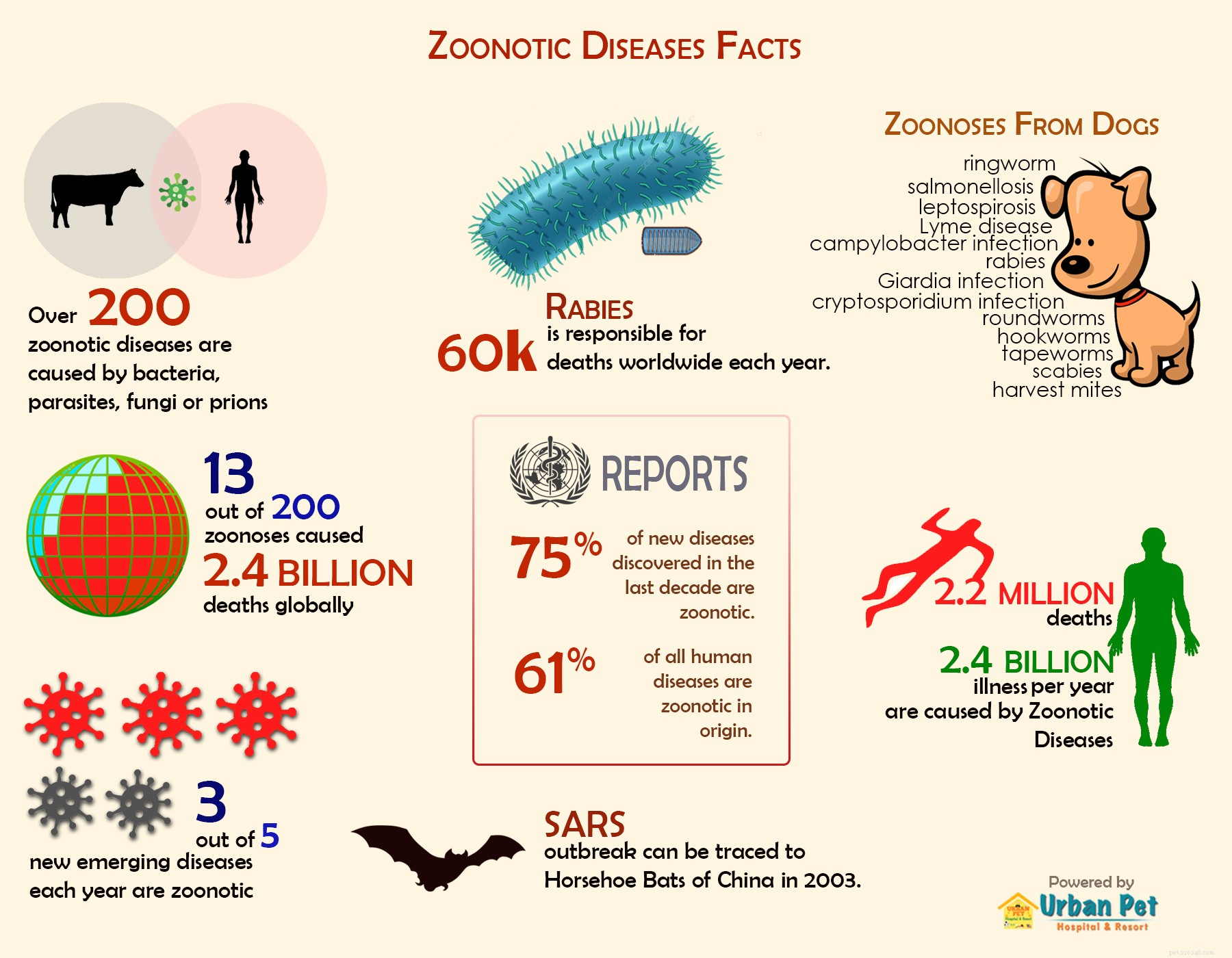 Факты о зоонозах [инфографика]