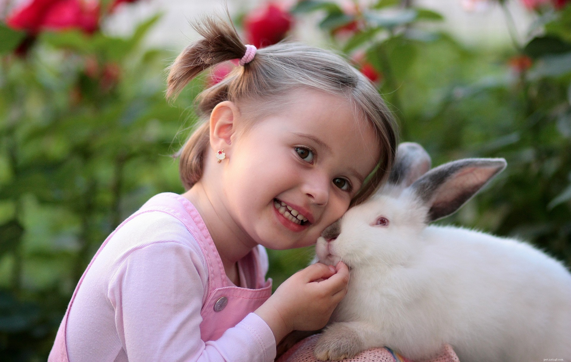 I conigli sono buoni animali da compagnia?