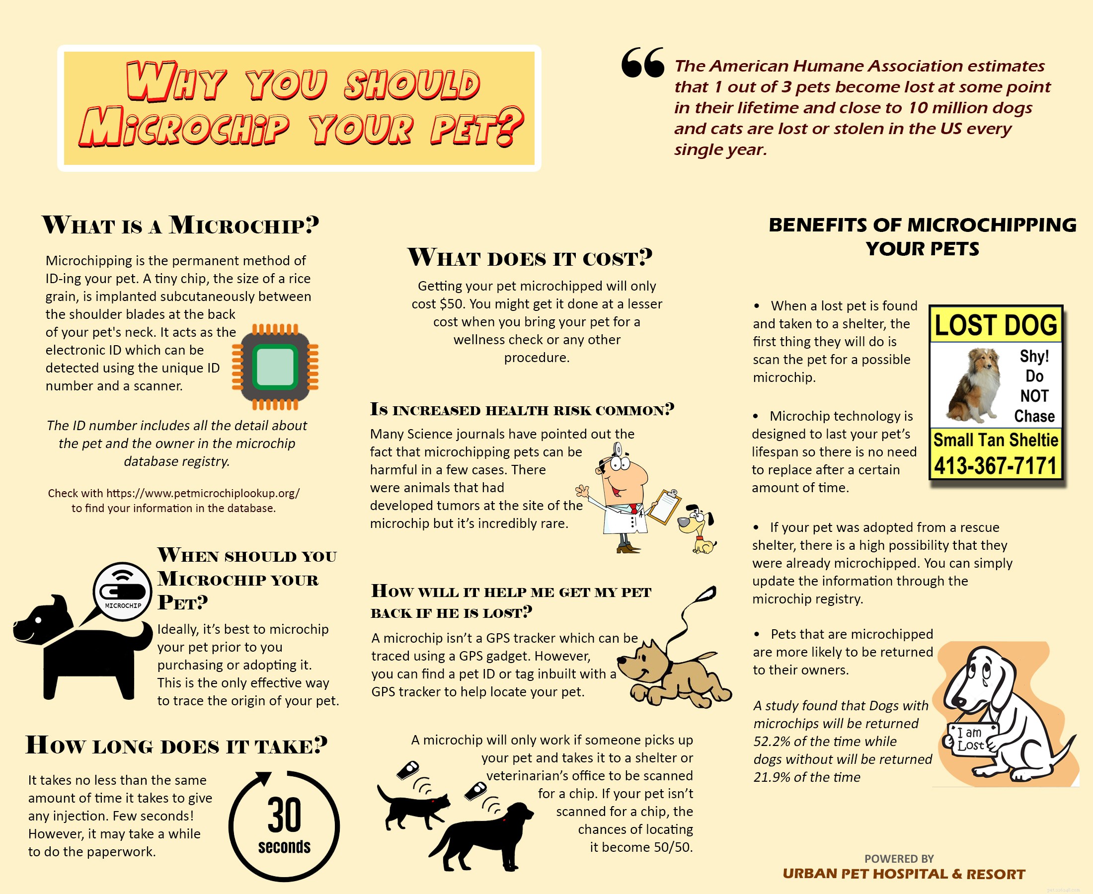 Perché dovresti microchipare il tuo animale domestico?