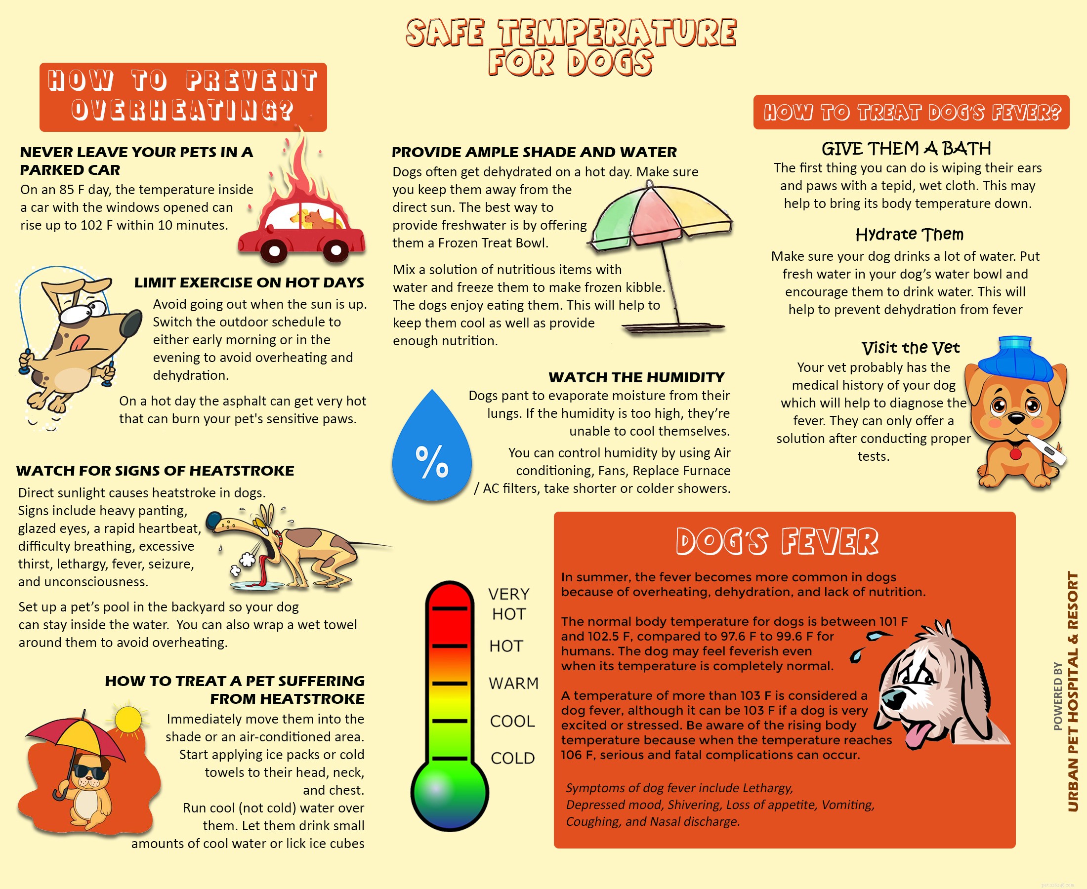 Veilige temperatuur voor honden:hoe oververhitting te voorkomen?