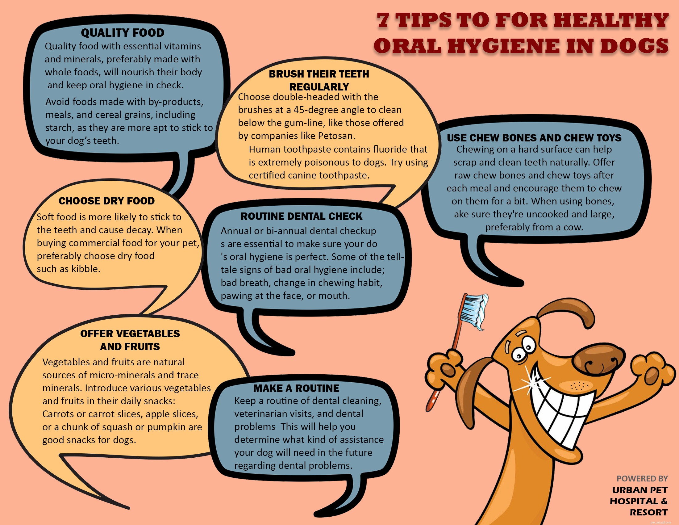 7 tips för att upprätthålla hälsosam munhygien hos hundar