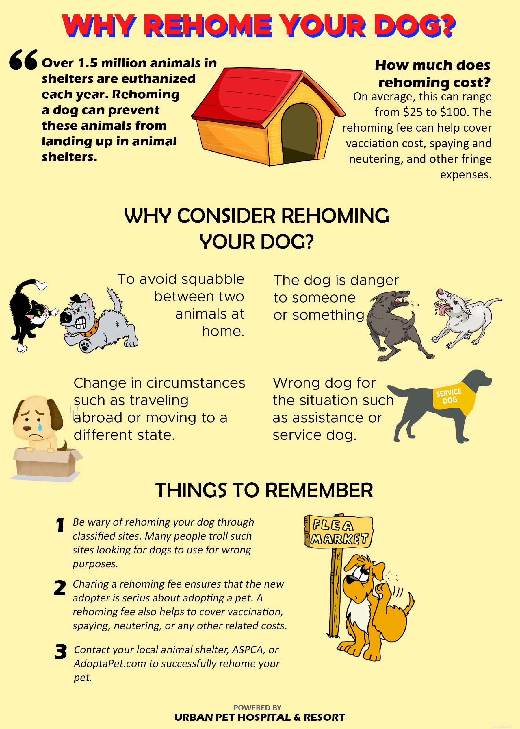 犬のリホーミングと養子縁組に関する事実 