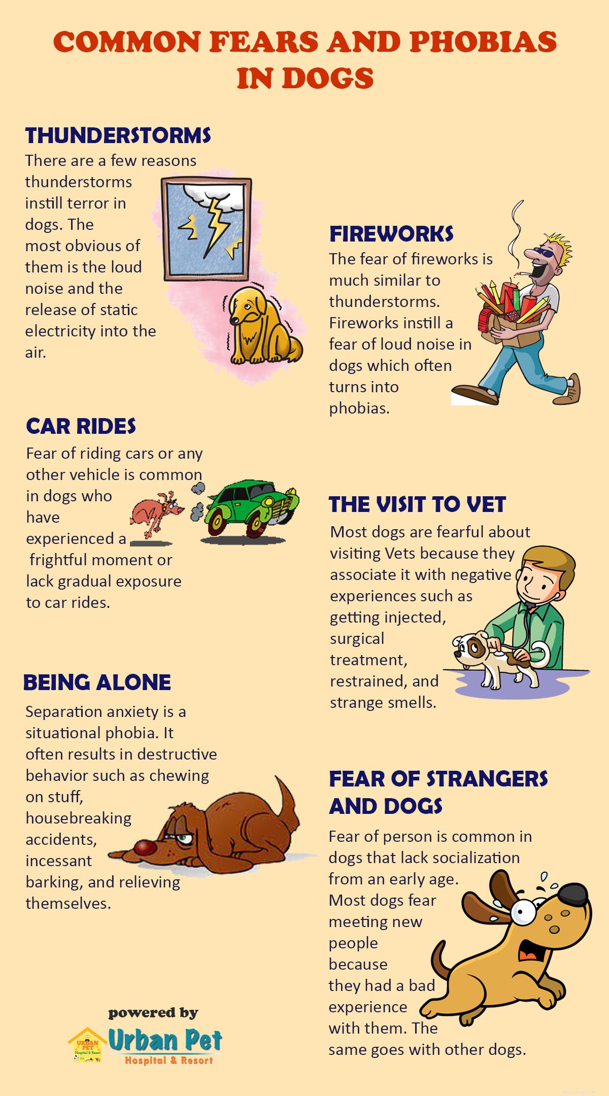 Paure e fobie comuni nei cani